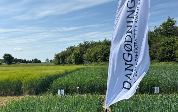 DG-Specialblanding – skræddersyet gødning til din mark!